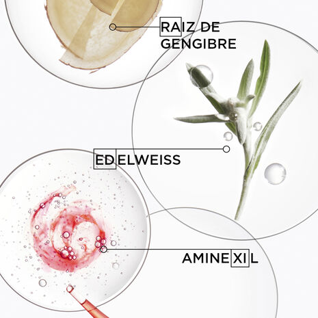 Shampoo Bain Hydra-Fortifiant - Image 5